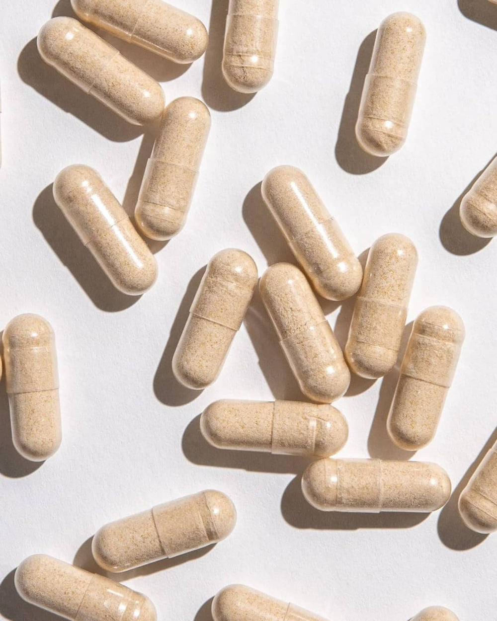 Graphic of prebiotics and plant fibers