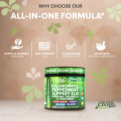 Prebiotics and gut health support in vegan capsules