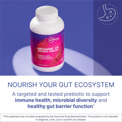 Graphic illustrating gut health benefits of precision prebiotic digestion support