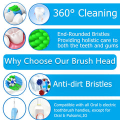 Soft and flexible DuPont bristles for safe dental health