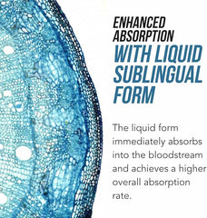 Pregnancy support and brain health with methylfolate