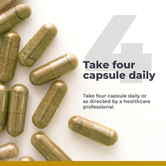 Graphic illustrating prebiotics and postbiotics in the formula