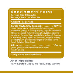 Premier BP Complex packaging highlighting premium formula