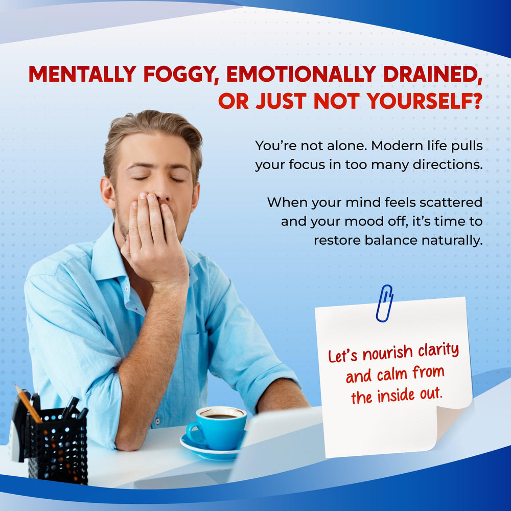 Close-up of capsules highlighting L-Theanine, Alpha-GPC, and Lion’s Mane