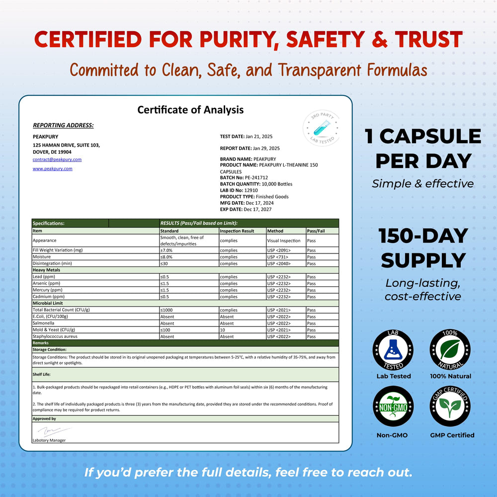 Lifestyle image of a focused professional working at desk