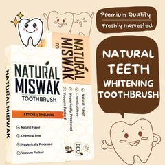Premium Miswak sticks in eco-friendly packaging