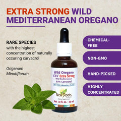 Steam-distilled oregano oil for purity and potency