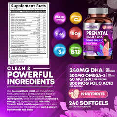Nutrients highlights DHA, Folic Acid, Vitamin C and B12