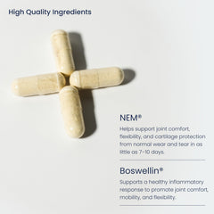 Glucosamine and chondroitin ingredients graphic