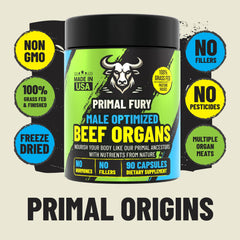 PRIMAL FURY bone marrow focus indicating joint comfort