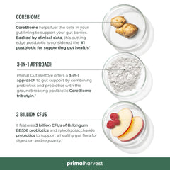 Capsules and ingredients of Primal Gut Restore