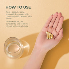 Minerals including magnesium and zinc for bone support