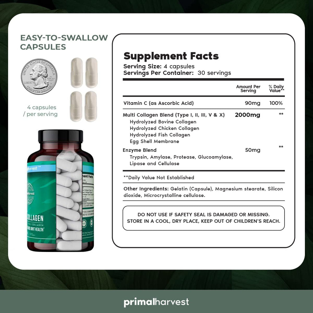 Graphic showing Type I, II, III, V, and X collagen sources