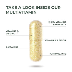 Primal Harvest Primal Multivitamin two-pack display for daily wellness on a budget.