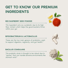 Graphic showing the 12 probiotic strains for gut health