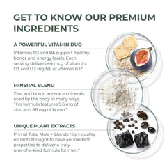 Icons highlighting energy, vitality and immune support