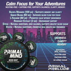 Primal Mind Wintergreen Spark pouch for discreet daytime focus.