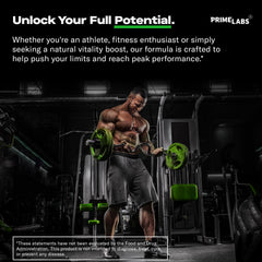 Usage instructions infographic