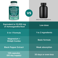 Graphic of ingredients: Ashwagandha, Shilajit, Magnesium Glycinate, Probiotics