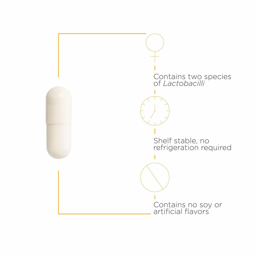 Lactobacillus rhamnosus GR-1 and Lactobacillus reuteri RC-14 illustration