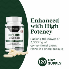 Illustration of Lions Mane bioactive compounds: hericenones and erinacines