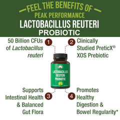 Capsules for probiotic gut health and digestive support