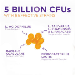 Vegan non-GMO probiotic gummies for gut health