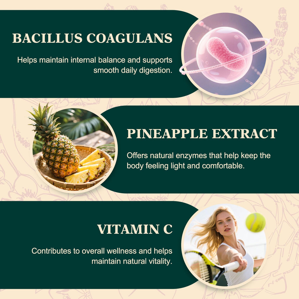 Illustration of Lactobacillus acidophilus probiotic ingredient