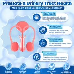 Probiotics for Men with 15 strains for digestive and immune support