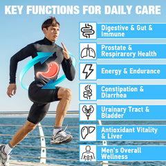 Graphic illustration showing probiotic strains