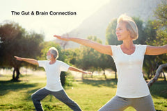 Probiotics and prebiotics garden illustration