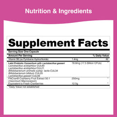 Icons indicating vegetarian, gluten-free, lactose-free