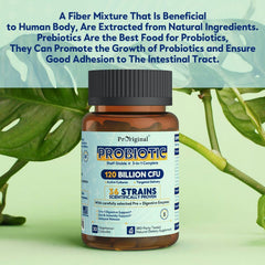 Non-refrigerated probiotic bottle for convenience