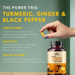 Product bottle for Turmeric Ginger 1000 mg 120 capsules