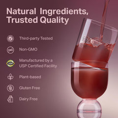 Chicory root prebiotic fiber illustration