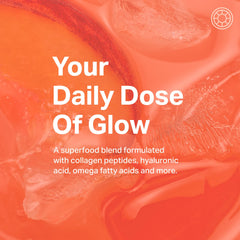 Ingredient emphasis: collagen peptides, hyaluronic acid, vitamin C, MSM