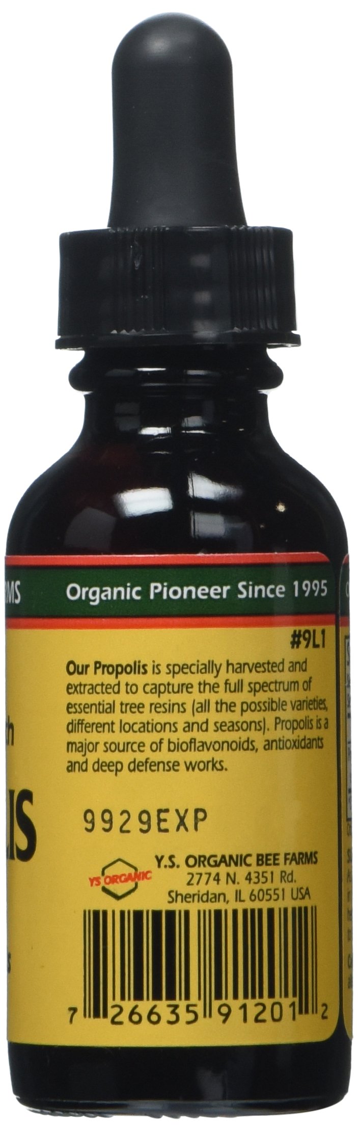 Close-up of propolis resin harvested from tree sources