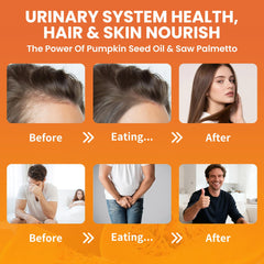 Illustration highlighting prostate and urinary health support