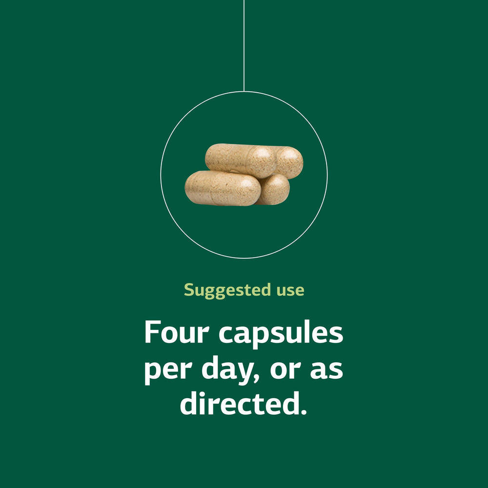 Protefood calcium component highlight