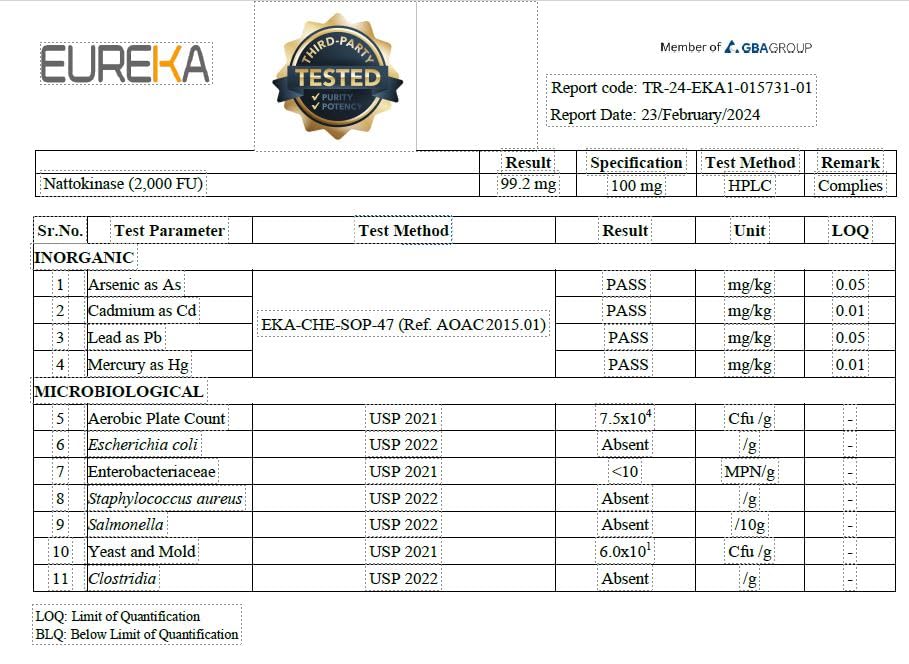 Graphic showing protein breakdown and immune support concept