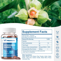 ProTKFU 2-Pack Ashwagandha Gummies back view with label