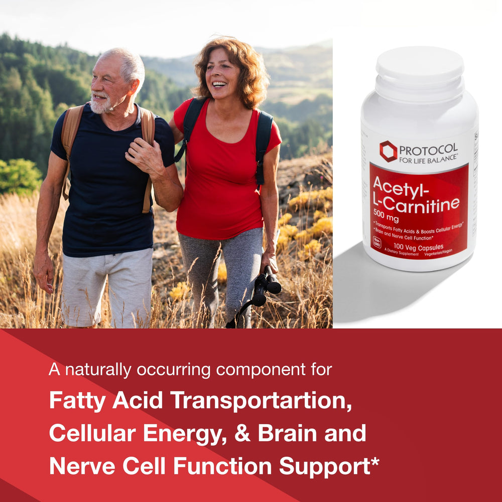 Supplement facts panel for Protocol Acetyl-L-Carnitine