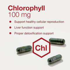 Illustration of detox and liver support concept with Protocol Chlorophyll