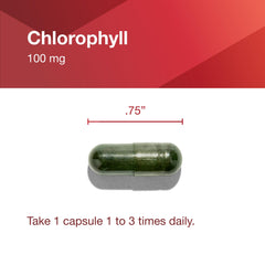 GMP manufacturer seal for premium dietary supplements