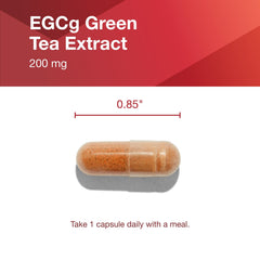Healthy lifestyle scene with green tea leaves