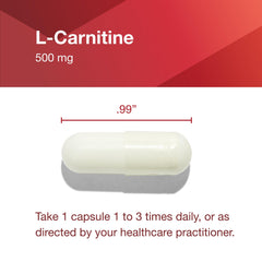 PROTOCOL FOR LIFE BALANCE vegan capsule closeup on gym setup.