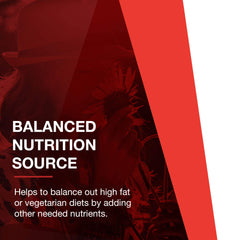 PROTOCOL FOR LIFE BALANCE bottle on gym bag for workouts.