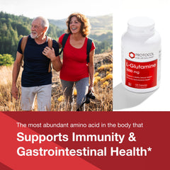 L-Glutamine supporting immune function
