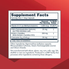 Close-up of PQQ Complex ingredients: PQQ, acetyl-L-carnitine, CoQ10