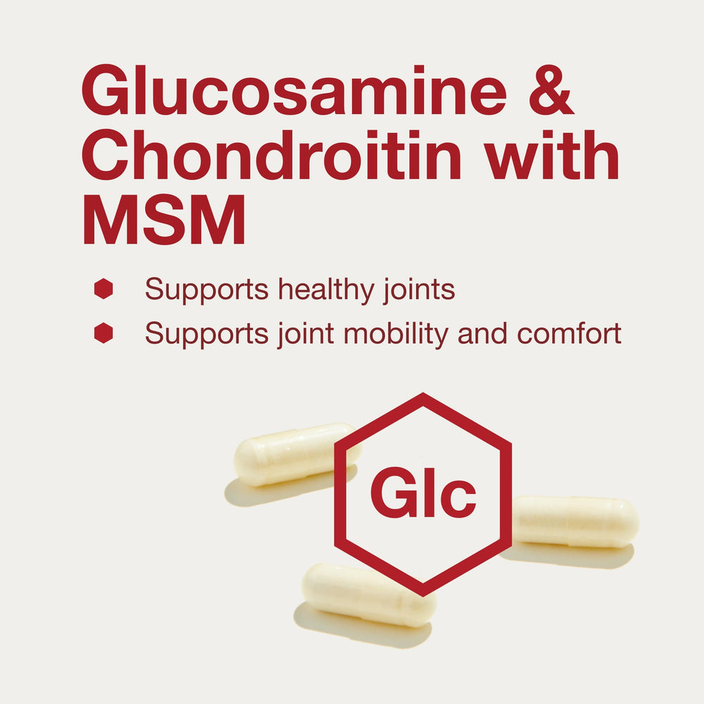 Close-up of ingredients: glucosamine, chondroitin, and MSM